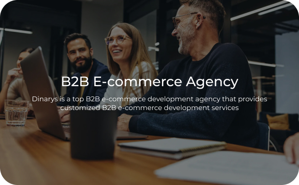 B2B E-Commerce Agentur
