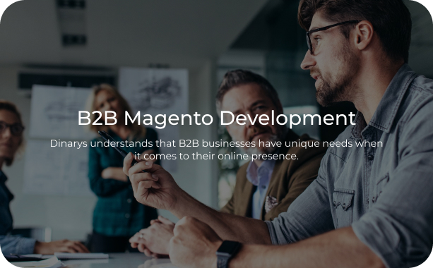 B2B Magento Development