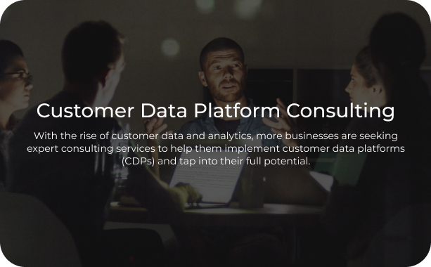 Customer Data Platform Consulting