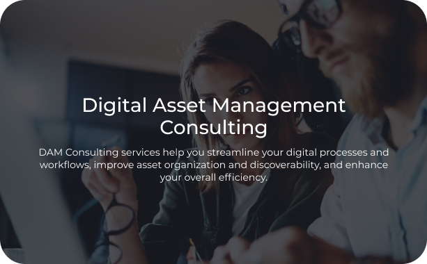 Digital Asset Management Consulting