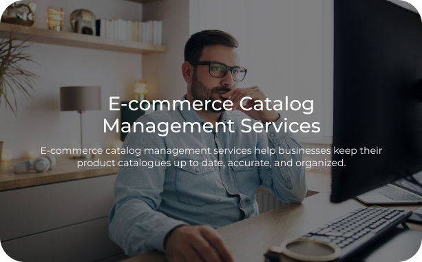 E-Commerce Katalogmanagement-Dienstleistungen