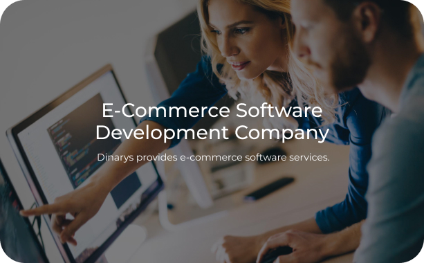 E-commerce Software Developmen