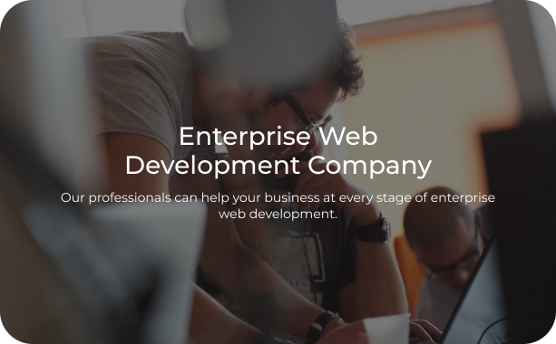 Enterprise Web Development Company