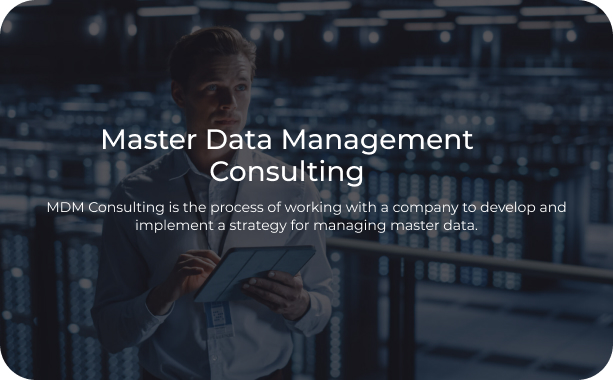 Master Data Management Consulting