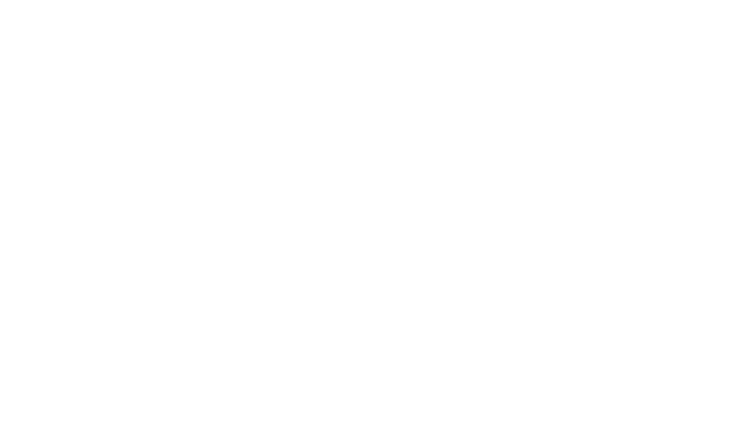 About <br>the client