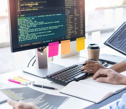 Custom Magento Store Development