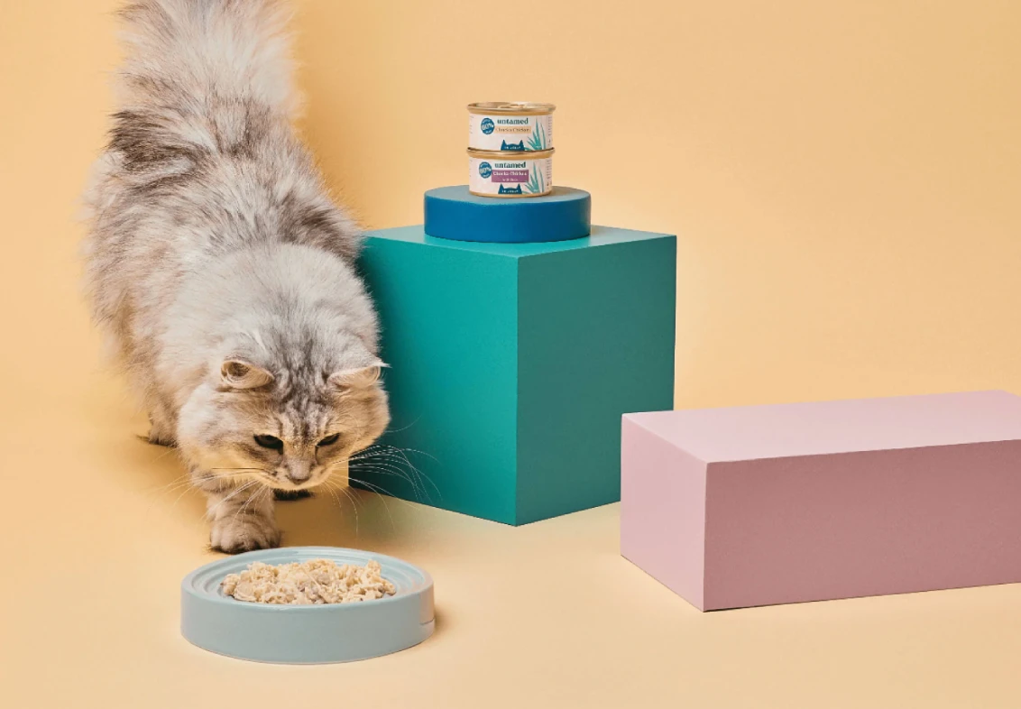 B2C development for a pet nutrition brand | Dinarys case study