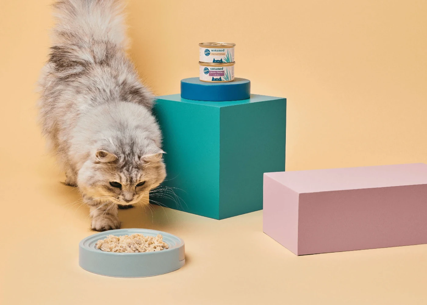 Fractional Shopify development team for Untamed