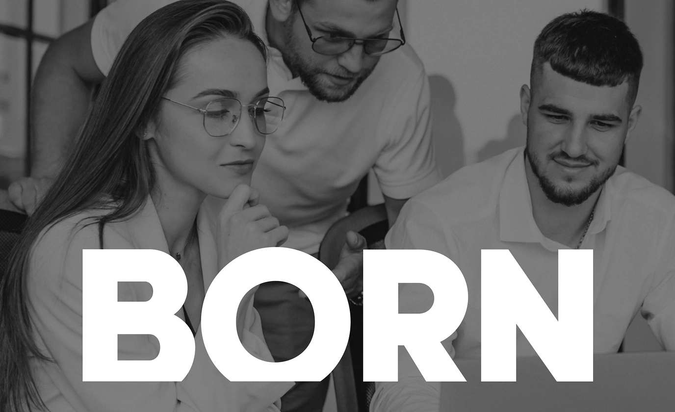 BORN Group project summary | Dinarys case study