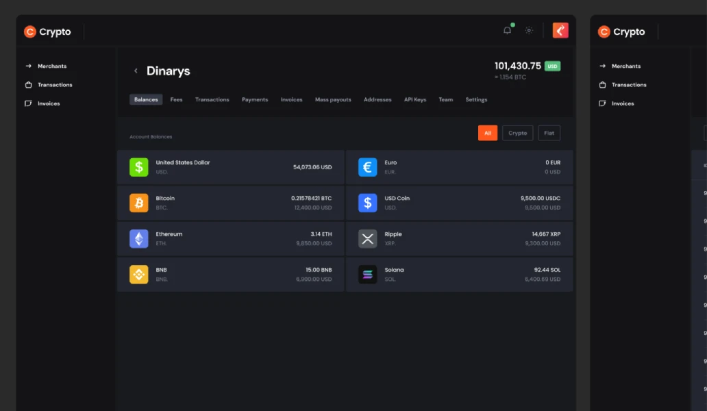 Crypto payment platform interfaces | Dinarys case study