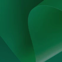 Shopify Plus development