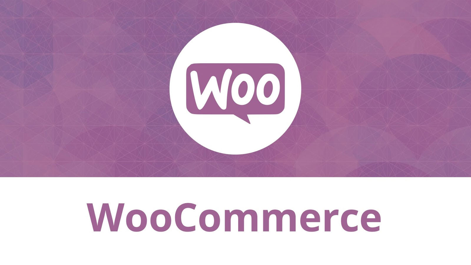 28％的在线商店使用WooCommerce功能