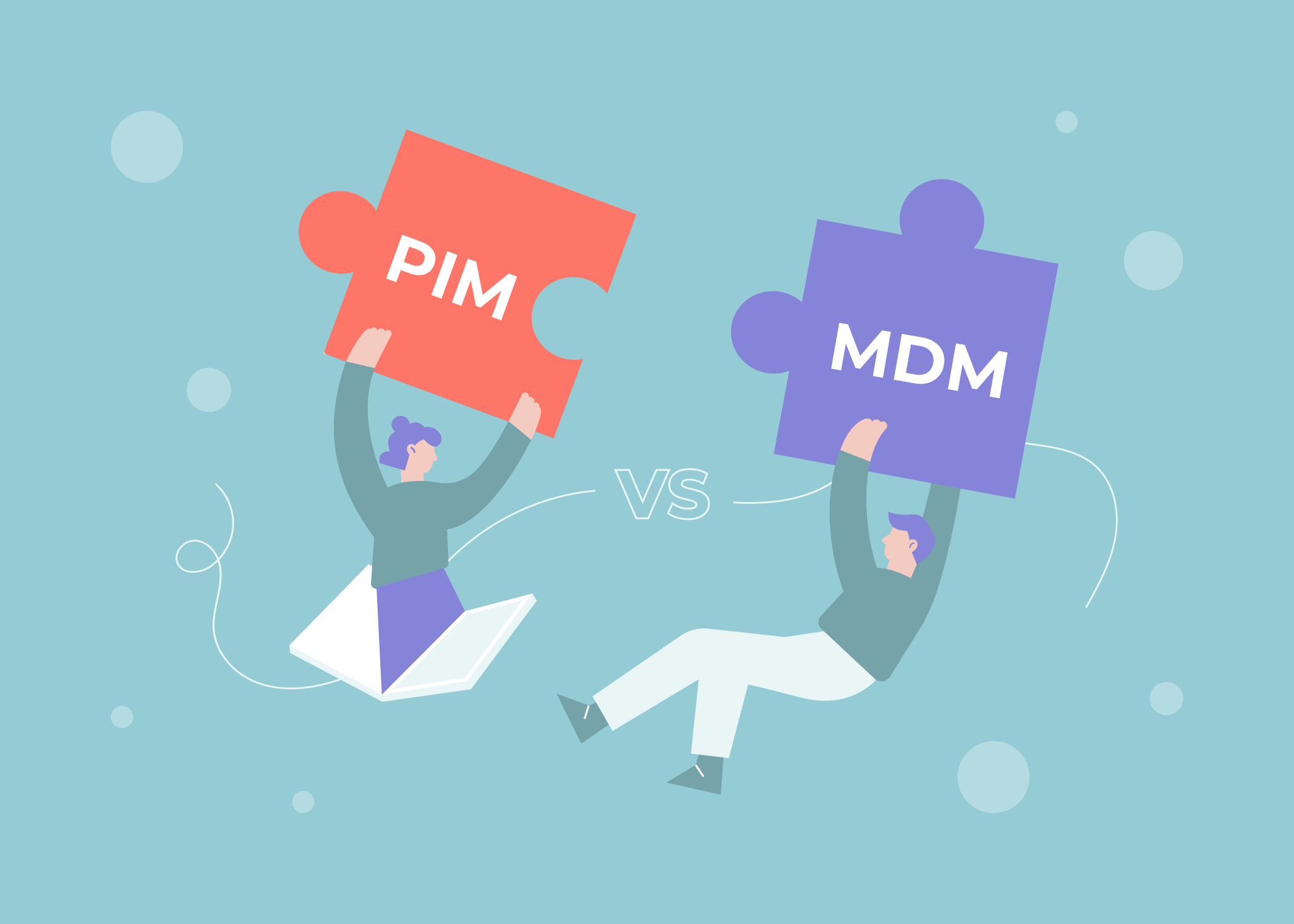 The Differences Between PIM and MDM