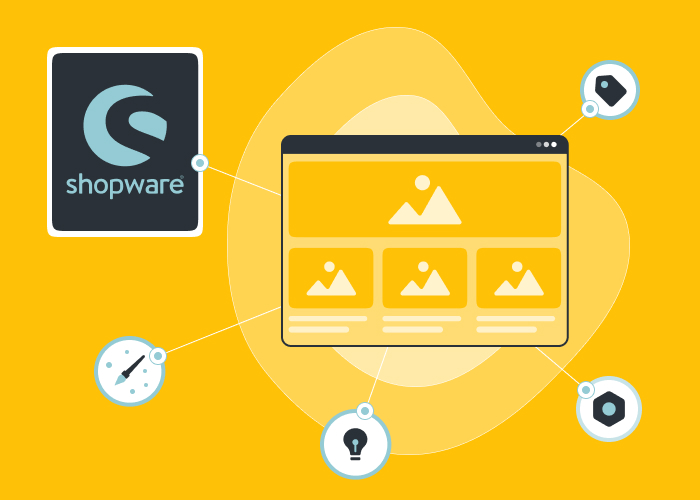 How to Find and Hire a Great Shopware Developer?