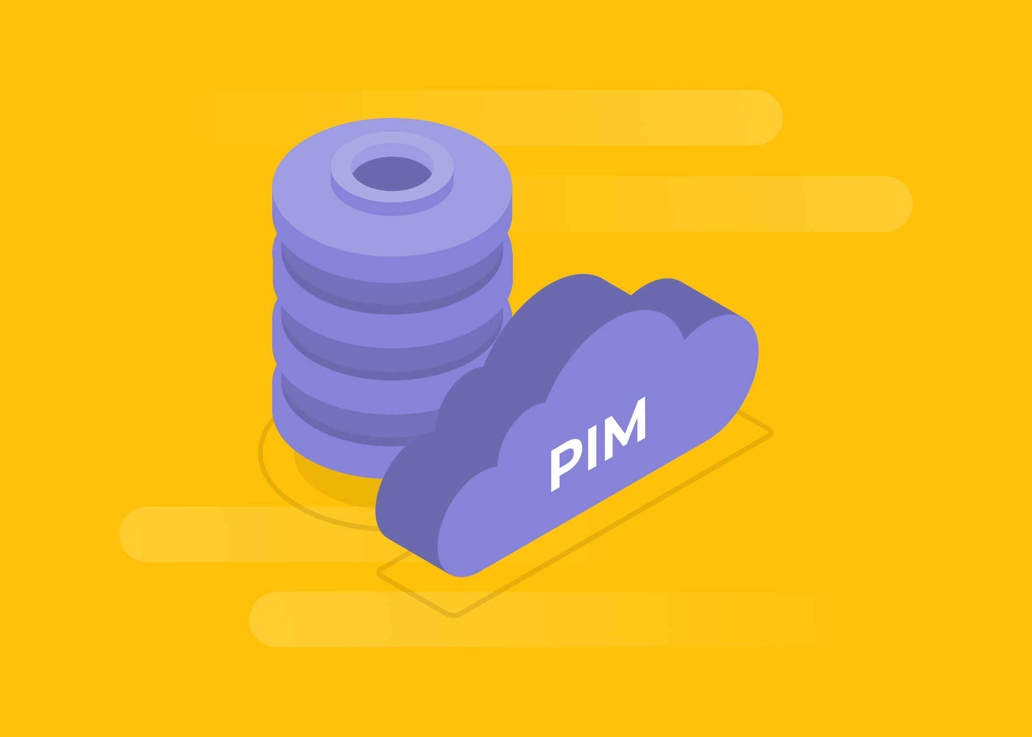 What Is PIM?